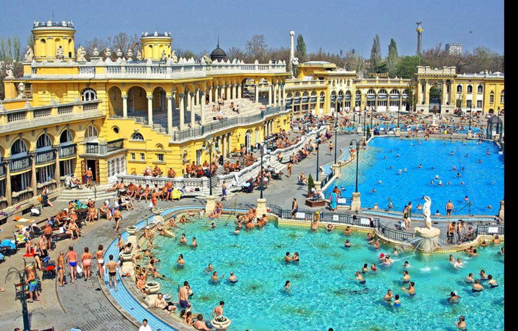City Park Apartment Budapest Bilik gambar
